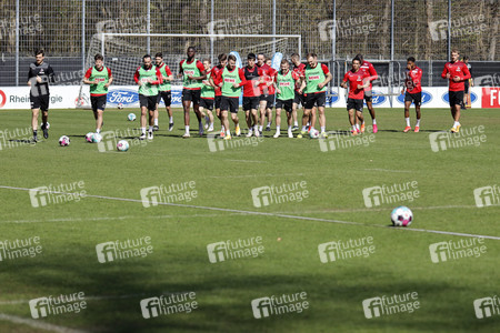 Training des 1. FC Köln
