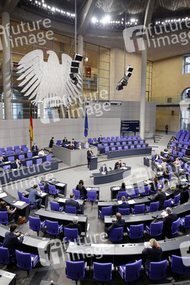 217. Sitzung des Deutschen Bundestages in Berlin