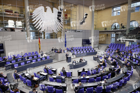 217. Sitzung des Deutschen Bundestages in Berlin