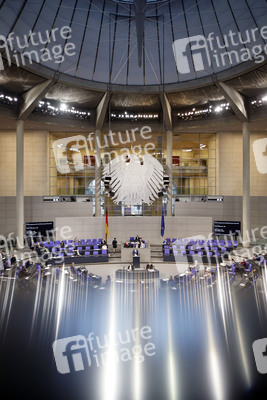 217. Sitzung des Deutschen Bundestages in Berlin