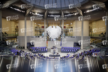 217. Sitzung des Deutschen Bundestages in Berlin