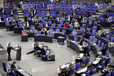 219. Sitzung des Deutschen Bundestages in Berlin