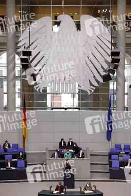 219. Sitzung des Deutschen Bundestages in Berlin