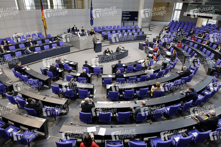 219. Sitzung des Deutschen Bundestages in Berlin