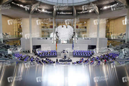 219. Sitzung des Deutschen Bundestages in Berlin