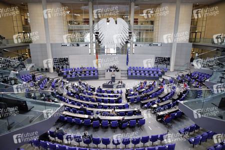 219. Sitzung des Deutschen Bundestages in Berlin