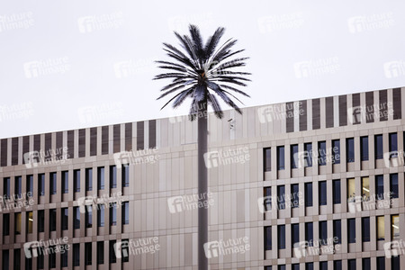 Der Bundesnachrichtendienst in Berlin