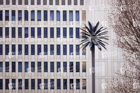 Der Bundesnachrichtendienst in Berlin