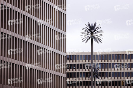 Der Bundesnachrichtendienst in Berlin