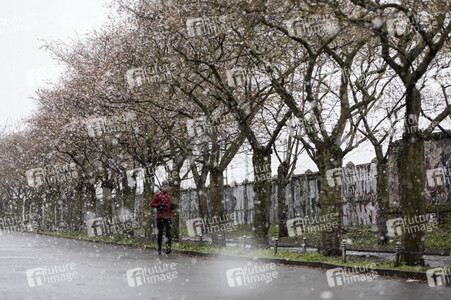 Kirschblüten in Berlin