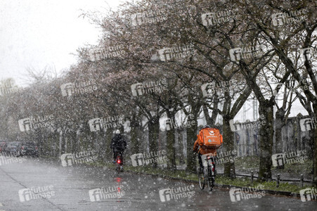 Kirschblüten in Berlin
