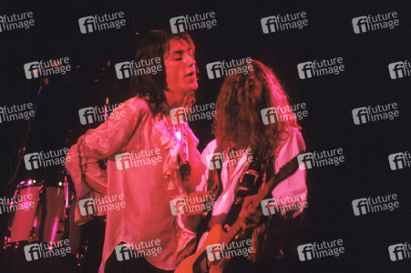 Konzert von The Black Crowes in London