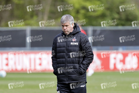 Training des 1. FC Köln
