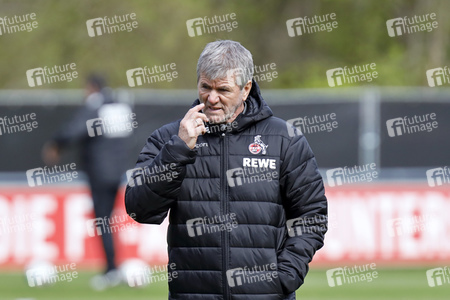 Training des 1. FC Köln