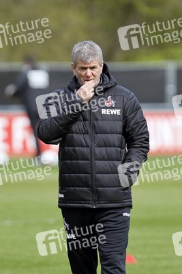 Training des 1. FC Köln