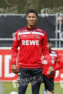 Training des 1. FC Köln