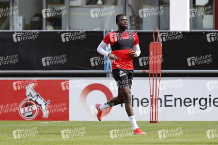 Training des 1. FC Köln