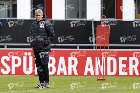 Training des 1. FC Köln