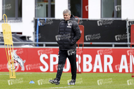 Training des 1. FC Köln