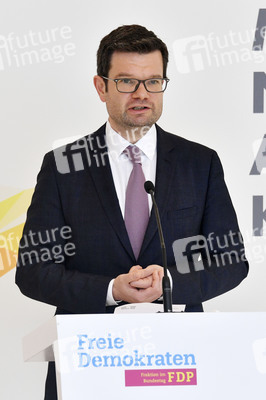 Pressestatement der FDP in Berlin