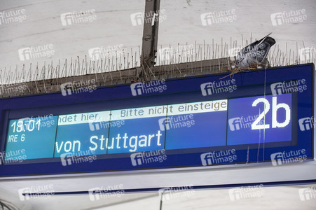 Der Hauptbahnhof in Tübingen