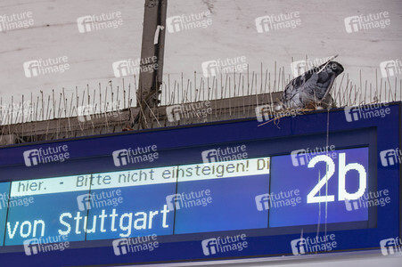 Der Hauptbahnhof in Tübingen