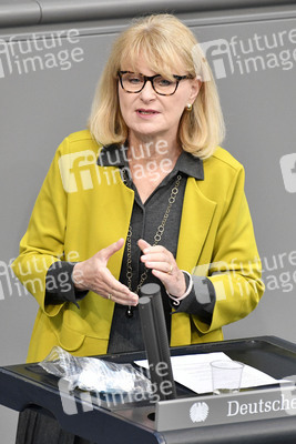 221. Sitzung des Deutschen Bundestages in Berlin