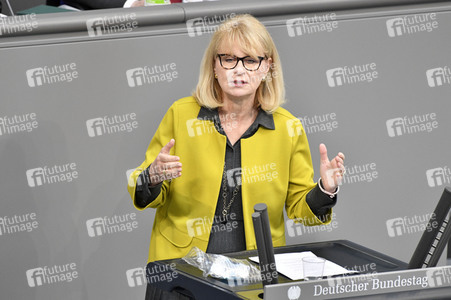 221. Sitzung des Deutschen Bundestages in Berlin