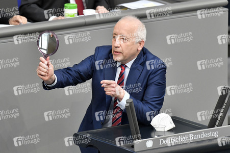 221. Sitzung des Deutschen Bundestages in Berlin