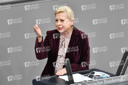 221. Sitzung des Deutschen Bundestages in Berlin