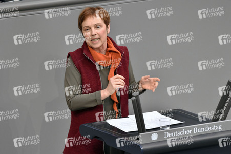 221. Sitzung des Deutschen Bundestages in Berlin