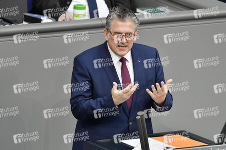 221. Sitzung des Deutschen Bundestages in Berlin