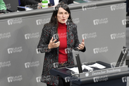 221. Sitzung des Deutschen Bundestages in Berlin