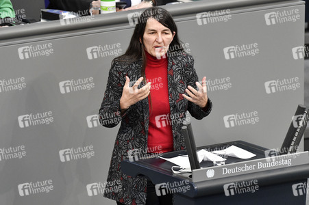 221. Sitzung des Deutschen Bundestages in Berlin