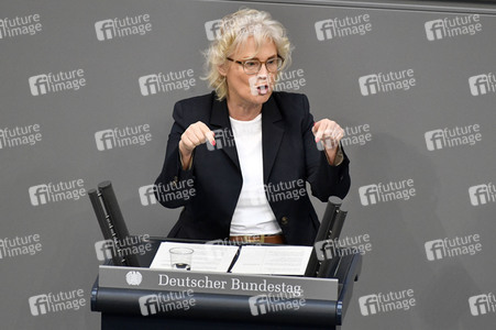 221. Sitzung des Deutschen Bundestages in Berlin