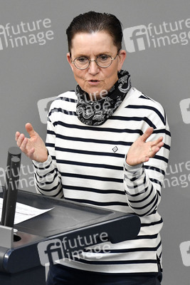 222. Sitzung des Deutschen Bundestages in Berlin