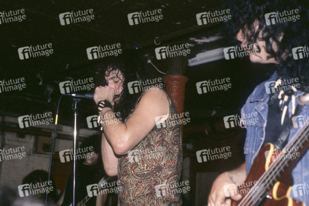 Konzert von The Fuzztones in London