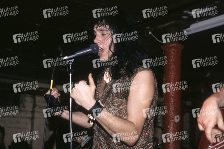 Konzert von The Fuzztones in London