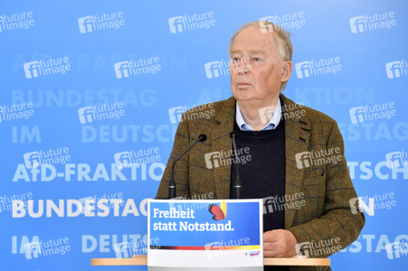 Pressestatement der AfD in Berlin