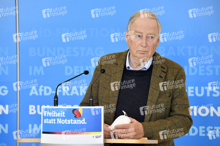 Pressestatement der AfD in Berlin