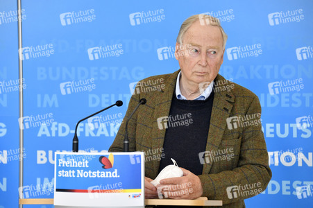 Pressestatement der AfD in Berlin