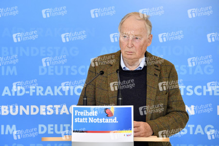 Pressestatement der AfD in Berlin