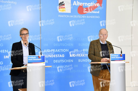 Pressestatement der AfD in Berlin