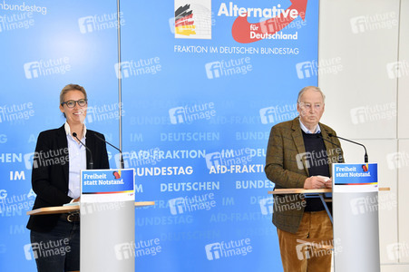 Pressestatement der AfD in Berlin