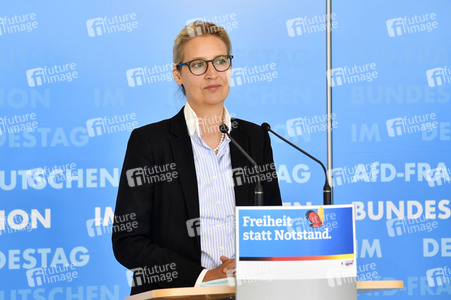 Pressestatement der AfD in Berlin