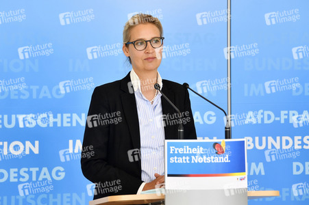 Pressestatement der AfD in Berlin