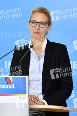Pressestatement der AfD in Berlin
