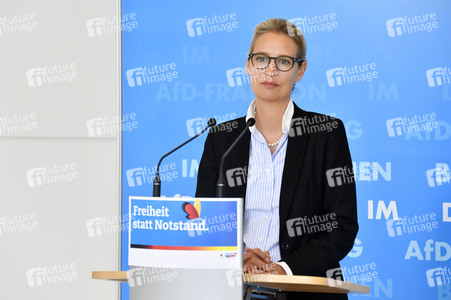 Pressestatement der AfD in Berlin
