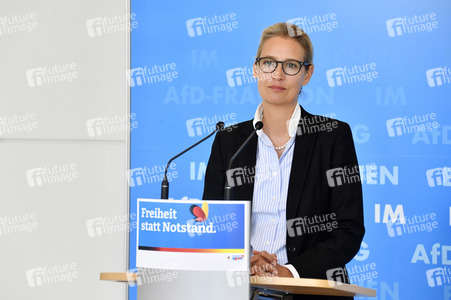 Pressestatement der AfD in Berlin