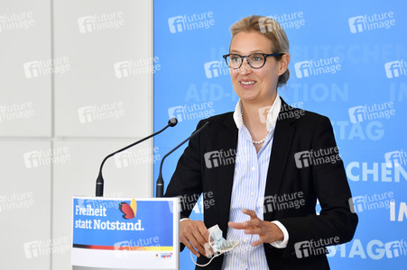 Pressestatement der AfD in Berlin
